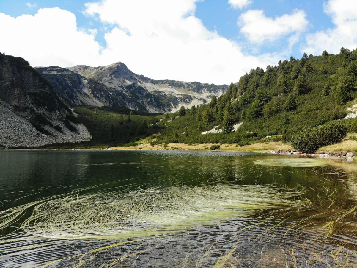 Great Location Near Lift Apartment Bansko Luaran gambar